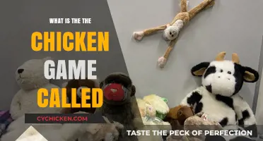 Unraveling the Mystery: What is the Chicken Game Called?