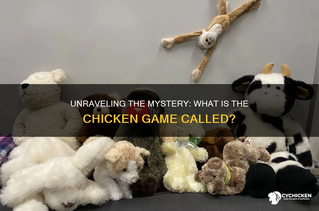 what is the the chicken game called