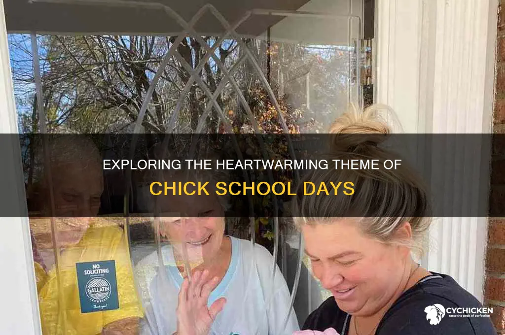 what is the theme of chick school days