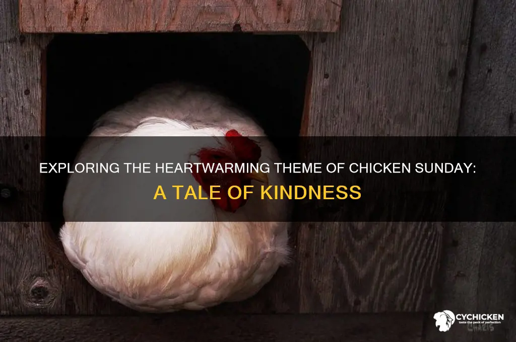 what is the theme of chicken sunday