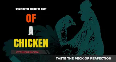 Unveiling the Chicken's Anatomy: Discovering the Thickest Part Explained