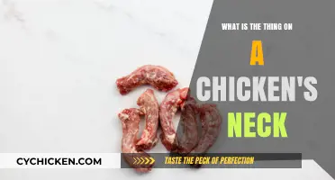 The Mystery of Chicken's Neck Feature
