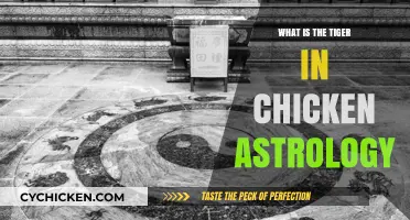 Unveiling the Tiger's Role in Chicken Astrology: A Comprehensive Guide