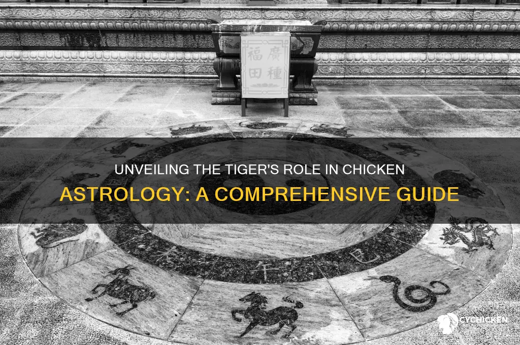 what is the tiger in chicken astrology