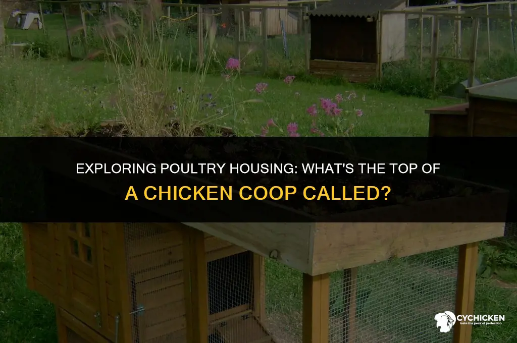 what is the top of a chicken coop called