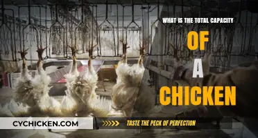 Understanding the Surprising Total Capacity of a Chicken: Facts Revealed