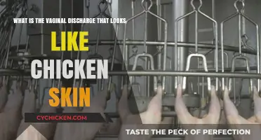 Understanding Vaginal Discharge: The Chicken Skin Appearance Explained