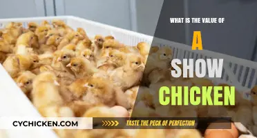 Understanding the Unique Value of Show Chickens in Poultry Competitions