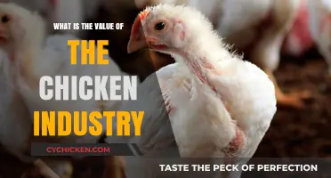 The Chicken Industry's Economic Impact: Value, Growth, and Global Influence
