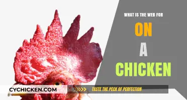 Understanding the Purpose of the Web on a Chicken's Head