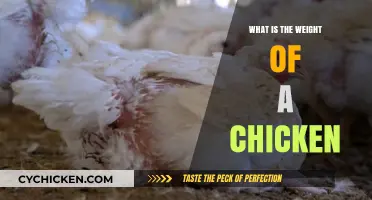 Understanding the Average Weight of a Chicken: A Comprehensive Guide