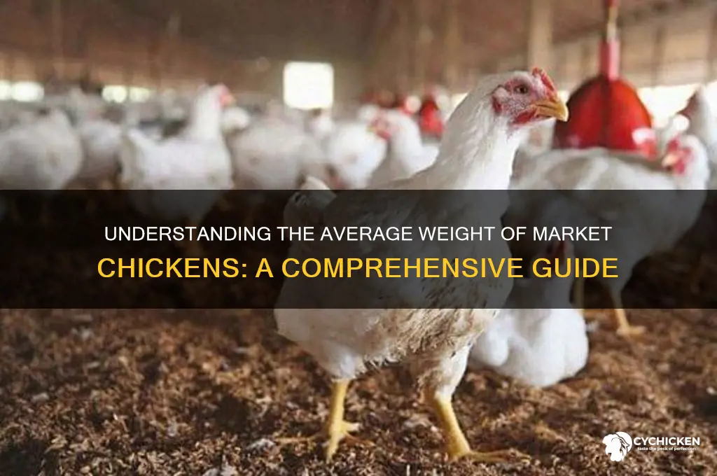 what is the weight of a market chicken