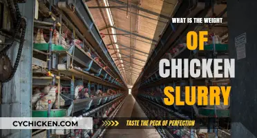 Understanding Chicken Slurry Weight: Composition, Uses, and Measurement Tips