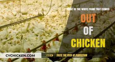 Chicken's White Foam: What's the Deal?