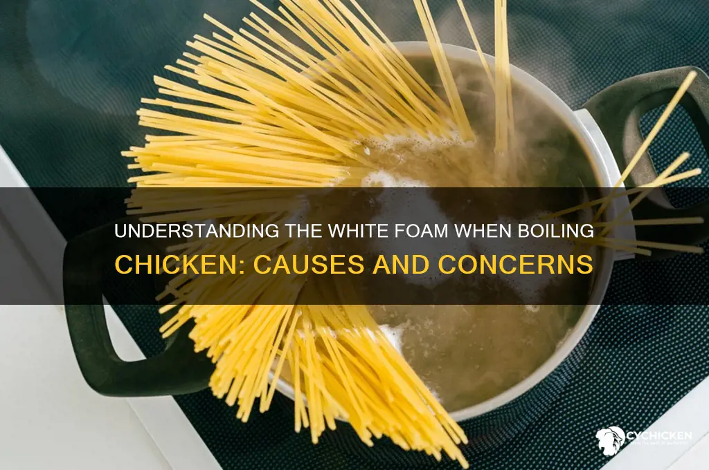 what is the white foam when boiling chicken