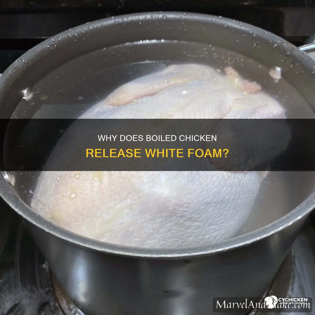 what is the white foam when i boil chicken
