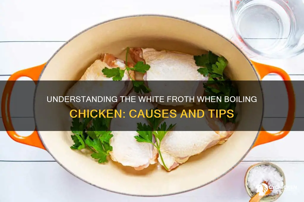what is the white froth when boiling chicken