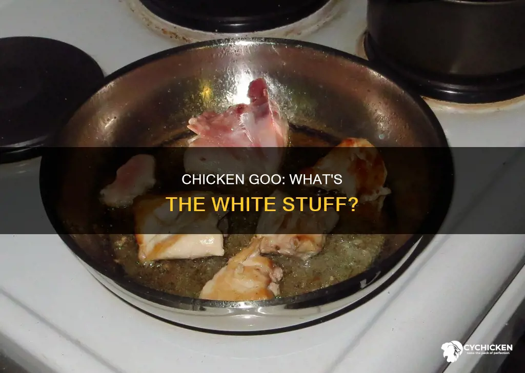 what is the white goo that comes out of chicken