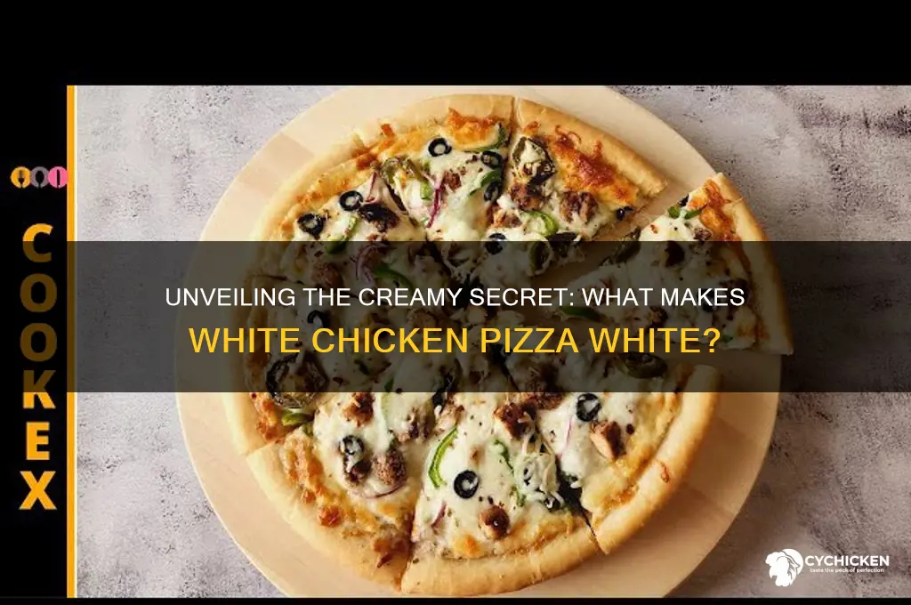 what is the white in white chicken pizza
