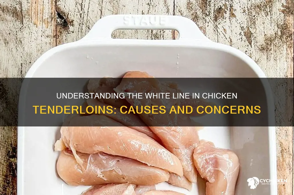 what is the white line in chicken tenderloins