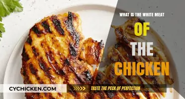Understanding the White Meat of Chicken: Nutrition, Benefits, and Uses