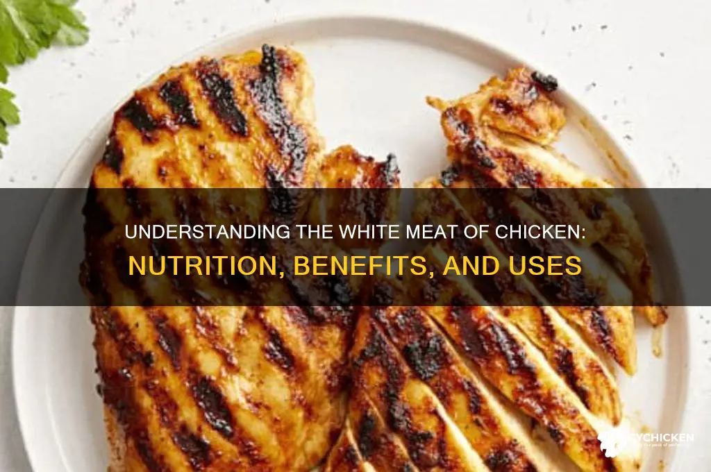 what is the white meat of the chicken