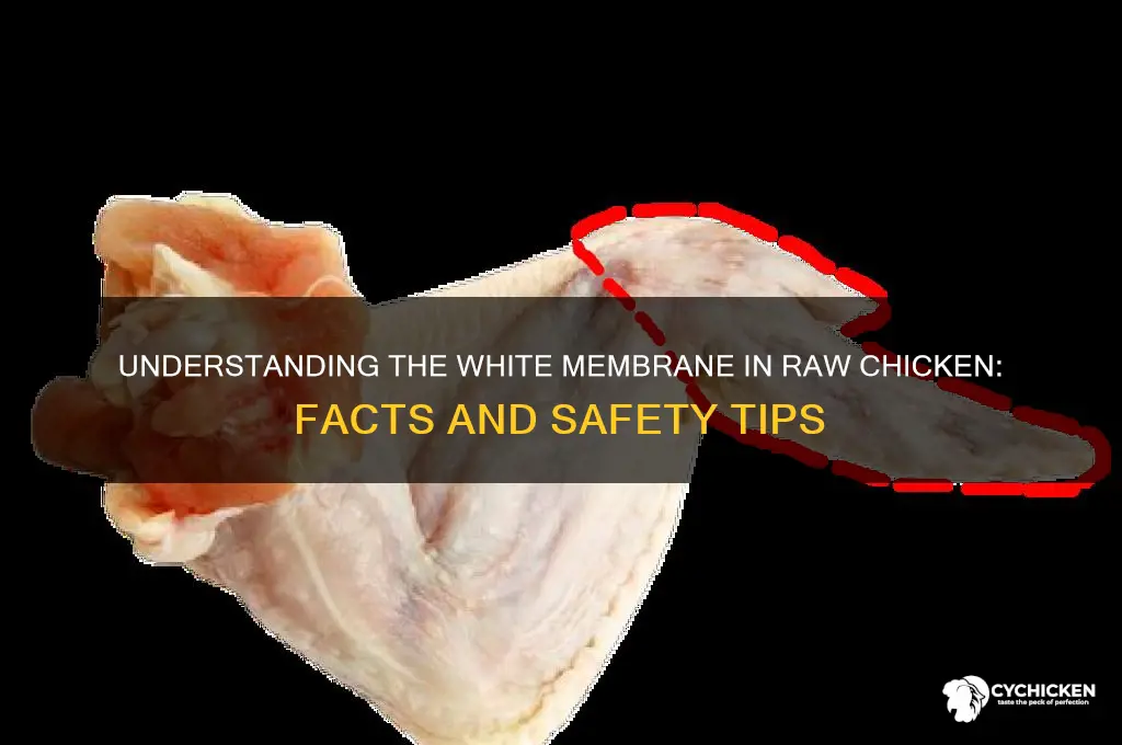what is the white membrane in raw chicken