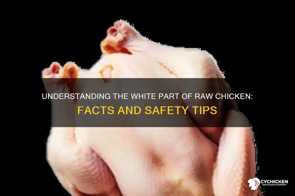what is the white part of raw chicken