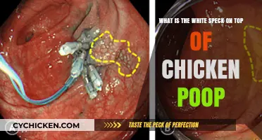 Chicken Poop Mystery: What Are Those White Specks?