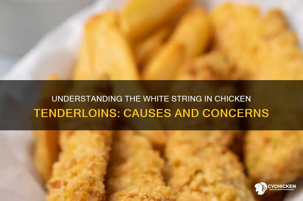 what is the white string in chicken tenderloins