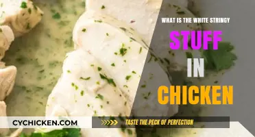 What is the White Stringy Stuff in Chicken? Explained