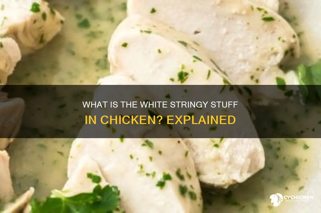 what is the white stringy stuff in chicken