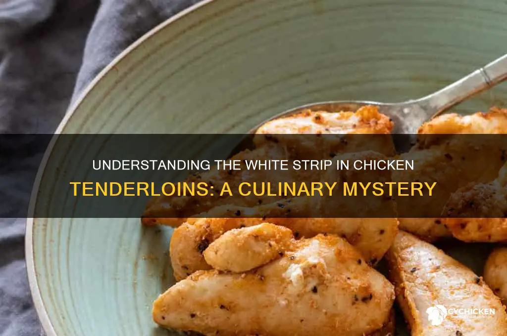 what is the white strip in chicken tenderlions