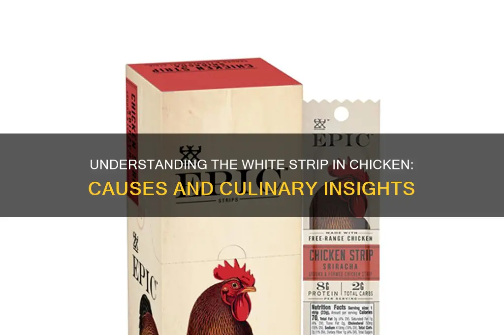 what is the white strip in chicken