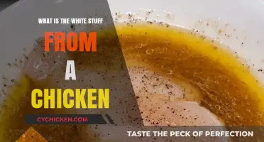Understanding the White Substance from Chickens: Causes and Concerns