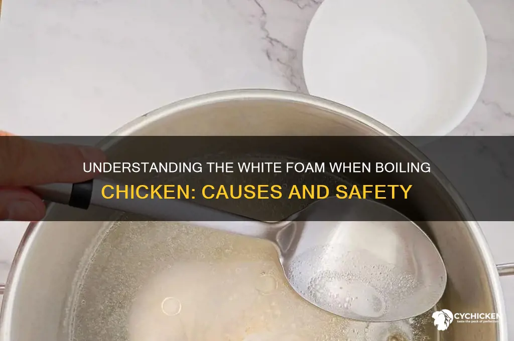what is the white stuff from boiling chicken