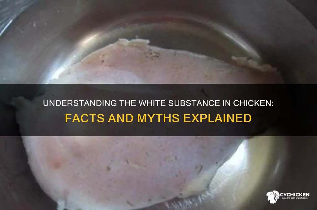 what is the white stuff in chicken