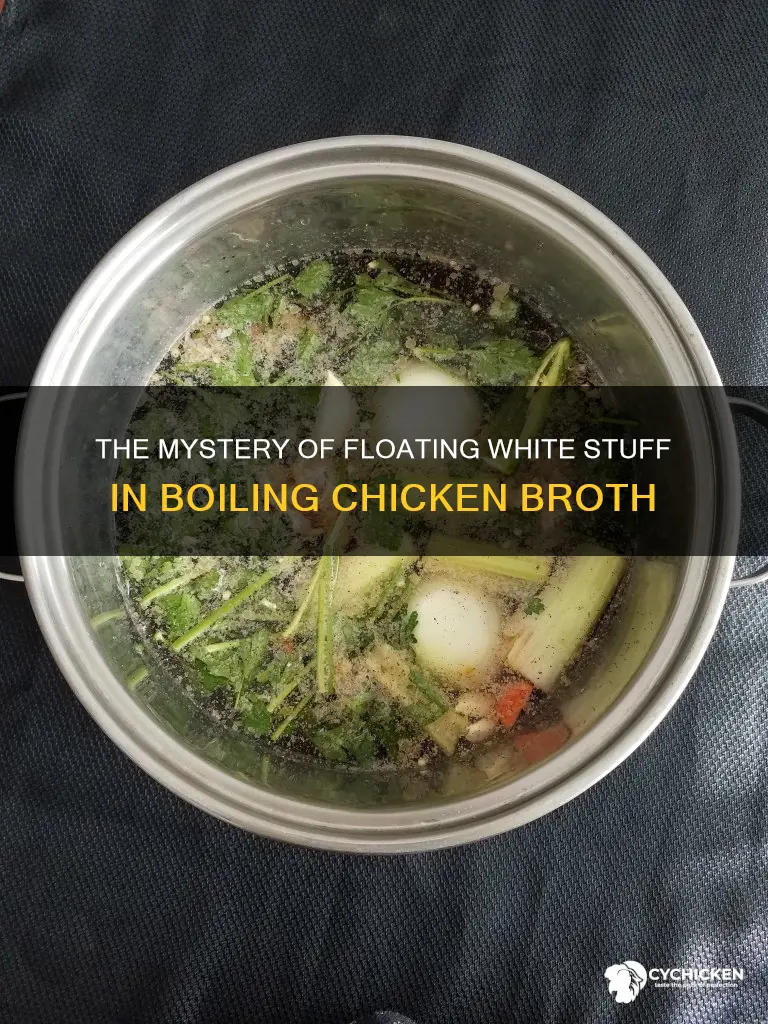 what is the white stuff that floats when boiling chicken