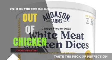 The Mystery of Chicken's Oozing White Substance