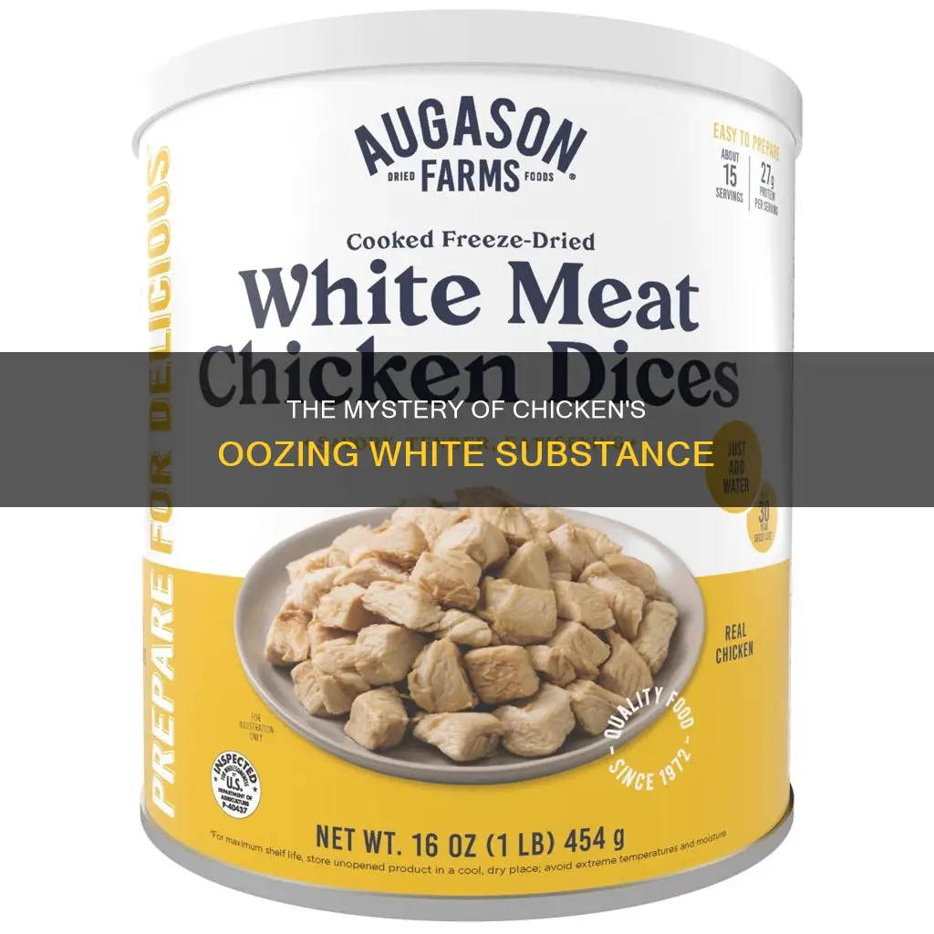 what is the white stuff that oozes out of chicken