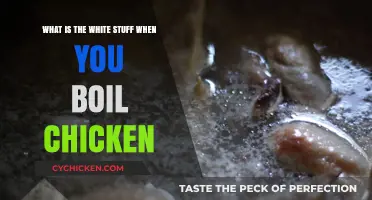 The Mystery of White Froth When Boiling Chicken