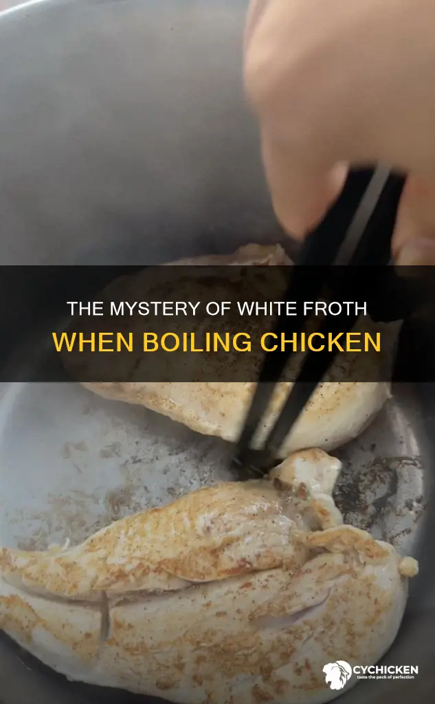 what is the white stuff when you boil chicken