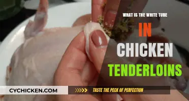 Understanding the White Tube in Chicken Tenderloins: Facts and Insights