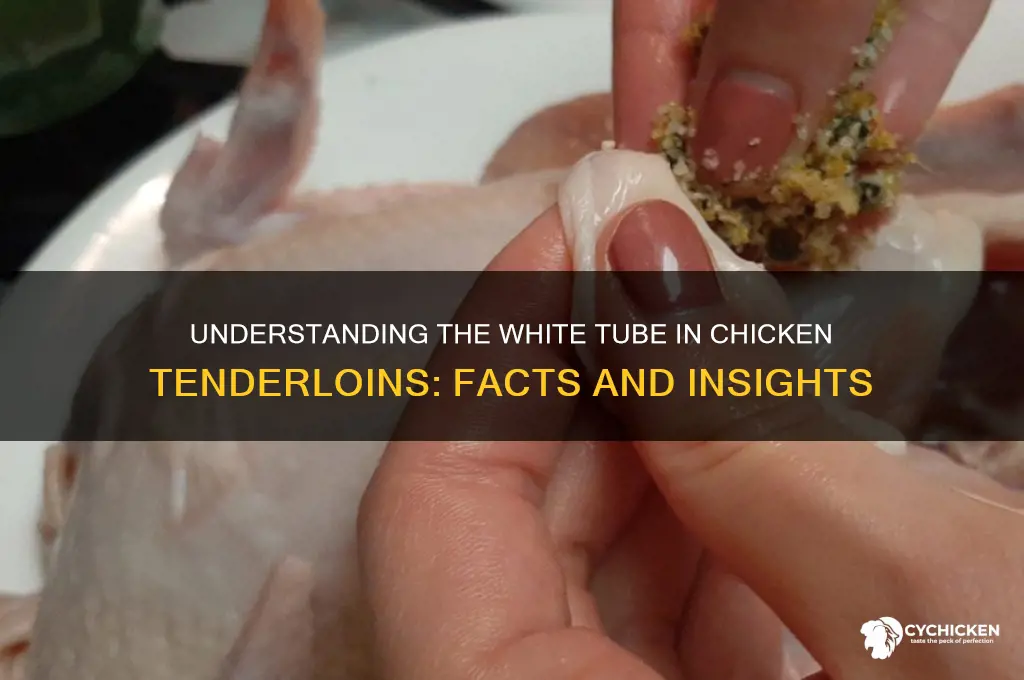 what is the white tube in chicken tenderloins