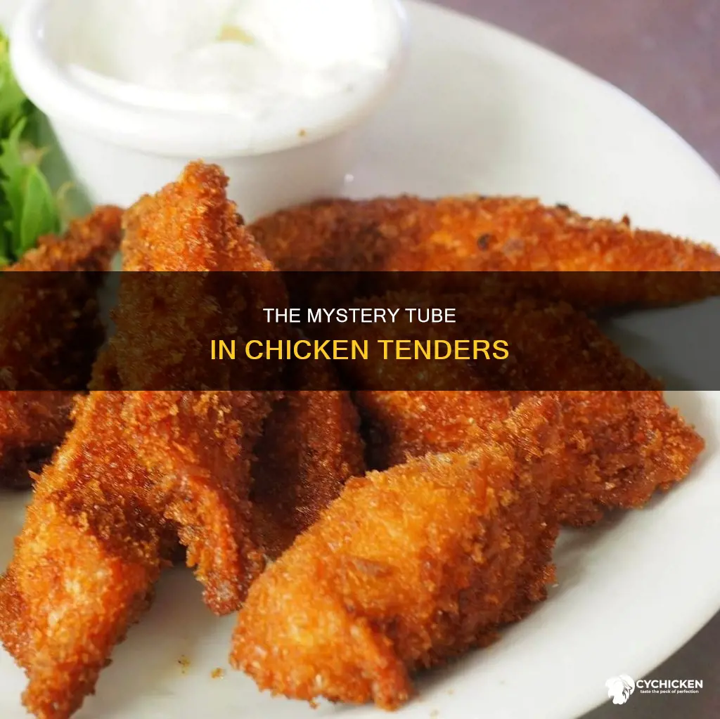 what is the white tube running through chicken tenders