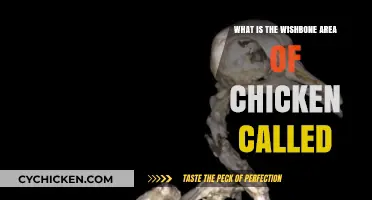 Understanding the Wishbone: What's the Chicken's Fork-Shaped Bone Called?