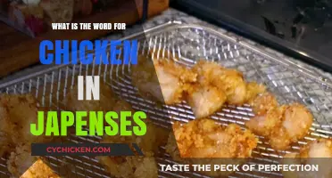 Discovering the Japanese Word for Chicken: A Quick Language Lesson