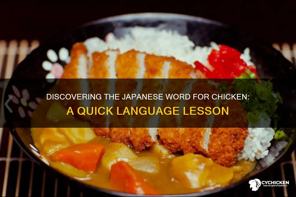 what is the word for chicken in japenses