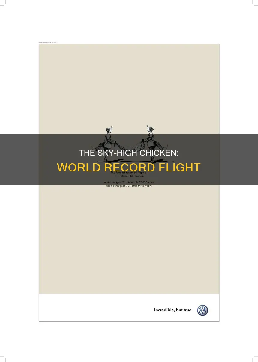 what is the world record for a chicken flying