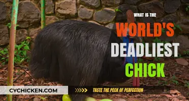 World's Deadliest Chick: Unveiling the Surprising Truth Behind Its Lethal Nature